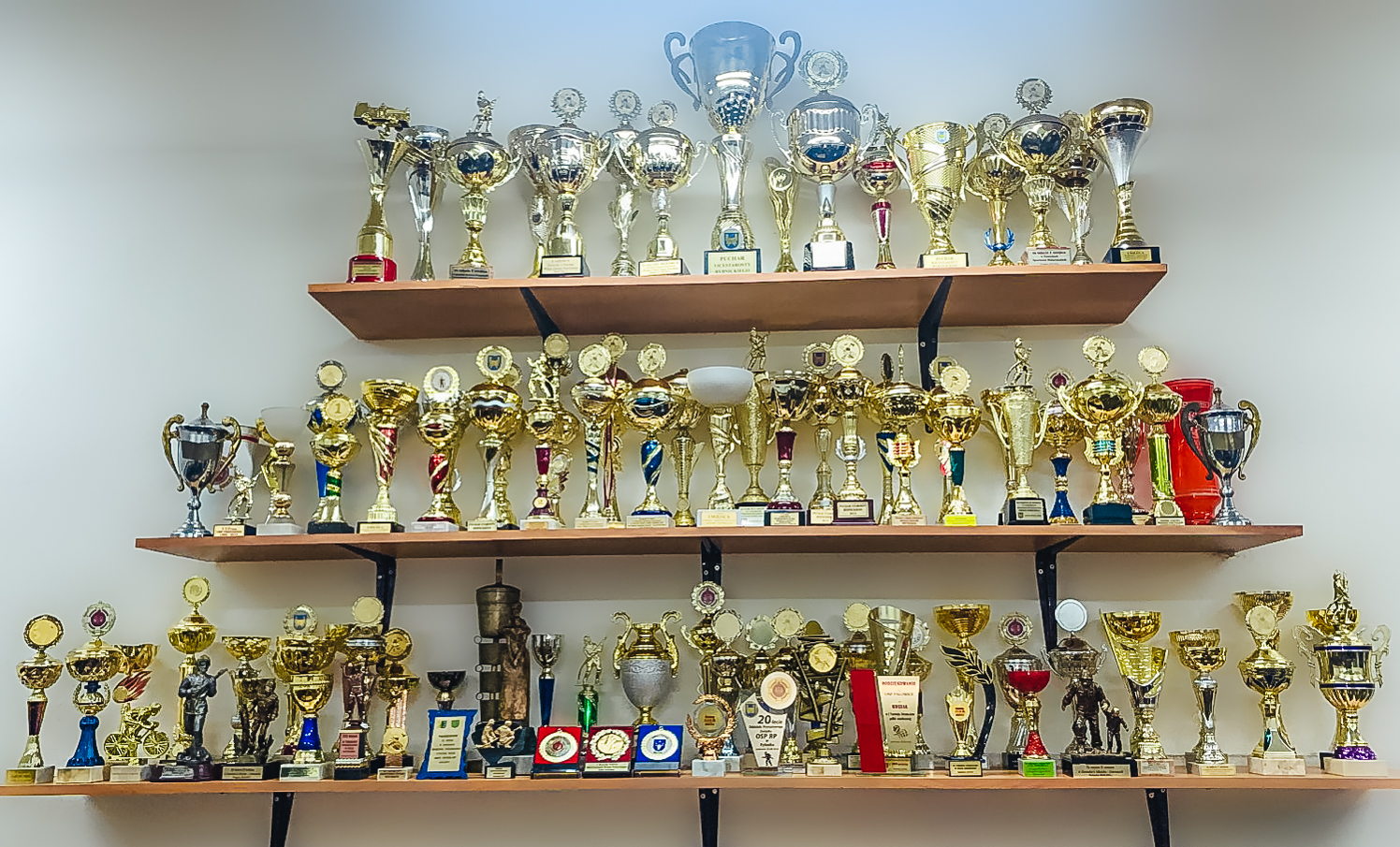 Trofea OSP Palowice.