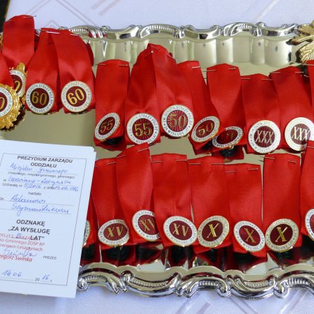 100-lecie jednostki OSP Palowice