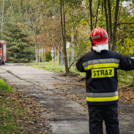 Ćwiczenia Kompanii Odwodowej Nr 11