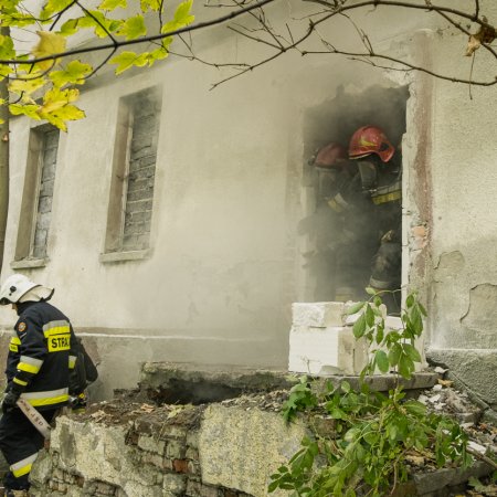 Ćwiczenia Kompanii Odwodowej Nr 11