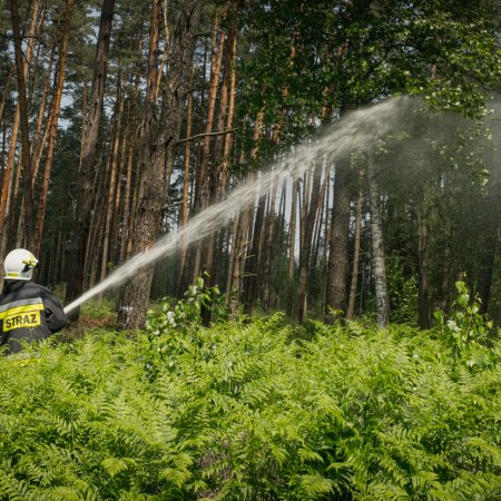 Gminne ćwiczenia pożarnicze - 8 czerwca 2019
