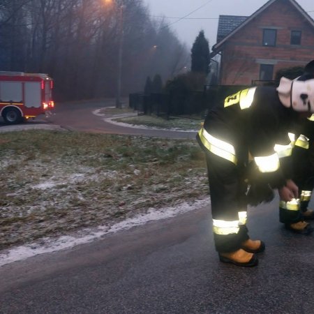 Neutralizacja plamy oleju na ulicy Woszczyckiej - 18 grudnia 2016
