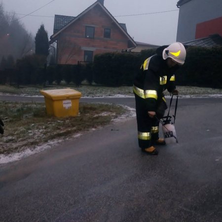 Neutralizacja plamy oleju na ulicy Woszczyckiej - 18 grudnia 2016

