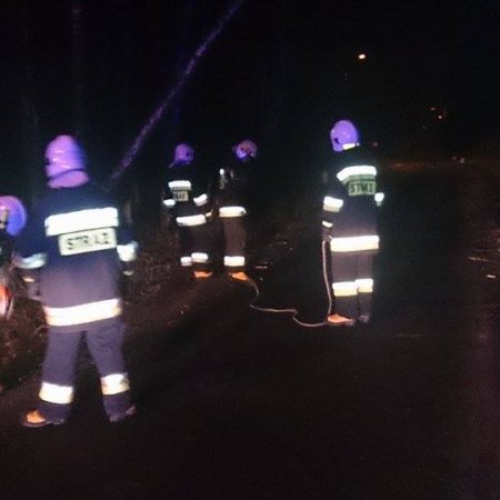 Pochylone drzewo na ulicy Szerokiej - 24 lutego 2017
