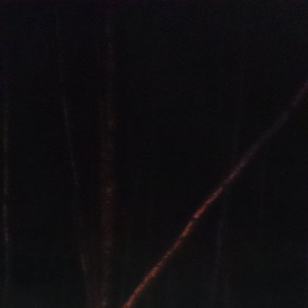 Pochylone drzewo na ulicy Szerokiej - 24 lutego 2017
