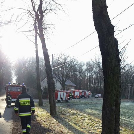 Poszukiwania zaginionego mężczyzny - 13 grudnia 2016
