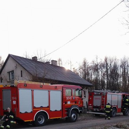Poszukiwania zaginionego mężczyzny - 13 grudnia 2016
