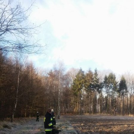 Poszukiwania zaginionego mężczyzny - 13 grudnia 2016
