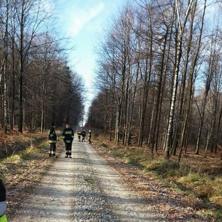 Poszukiwania zaginionego mężczyzny - 13 grudnia 2016
