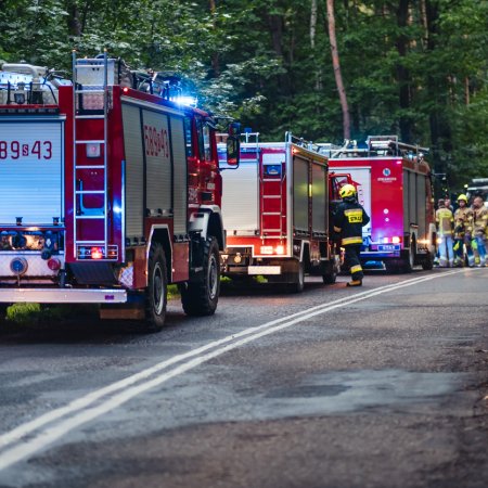 Poszukiwania zaginionej osoby - 17 września 2022

