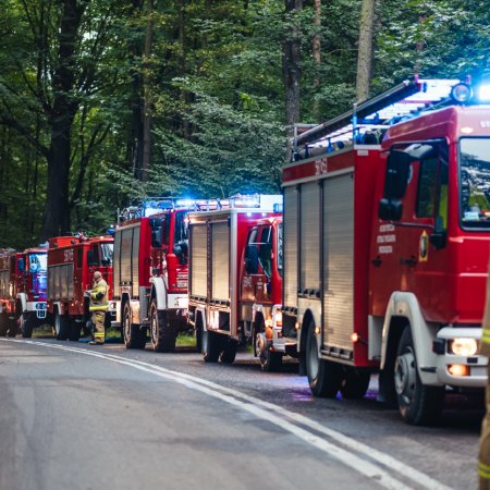 Poszukiwania zaginionej osoby