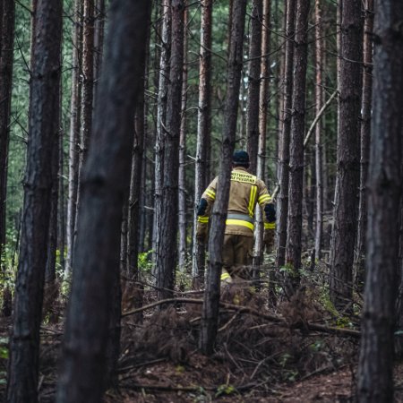 Poszukiwania zaginionej osoby