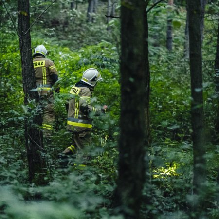 Poszukiwania zaginionej osoby