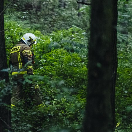 Poszukiwania zaginionej osoby