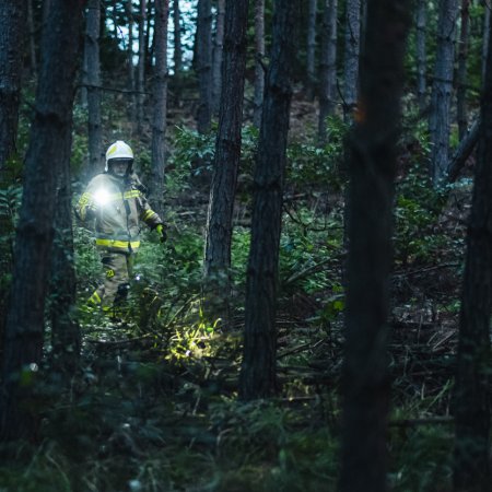 Poszukiwania zaginionej osoby