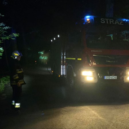 Pożar budynku gospodarczego na ulicy Wiejskiej oraz powalone drzewo na ulicy Dębowej.