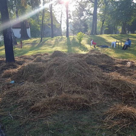 Pożar dekoracji dożynkowych