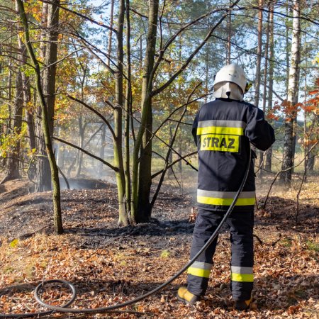 Pożar lasu - 15 października 2018
