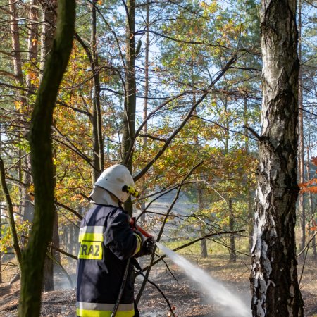 Pożar lasu - 15 października 2018
