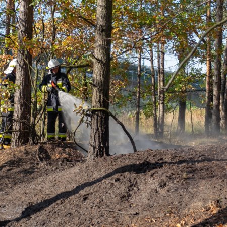 Pożar lasu - 15 października 2018
