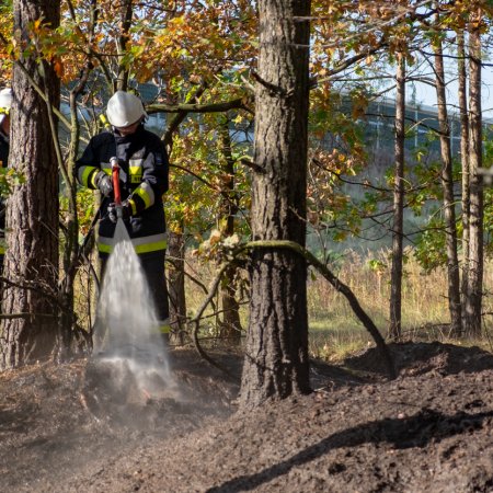Pożar lasu - 15 października 2018
