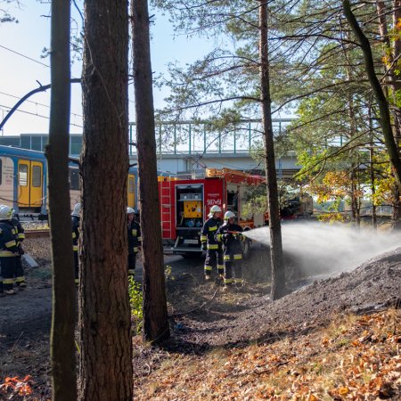 Pożar lasu - 15 października 2018
