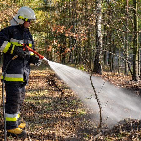 Pożar lasu - 15 października 2018
