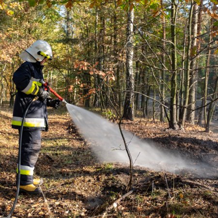 Pożar lasu - 15 października 2018
