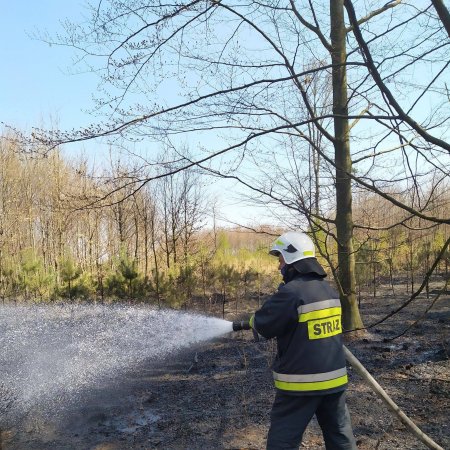 Pożar lasu - 21 kwietnia 2020
