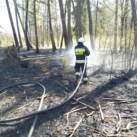 Pożar lasu - 21 kwietnia 2020
