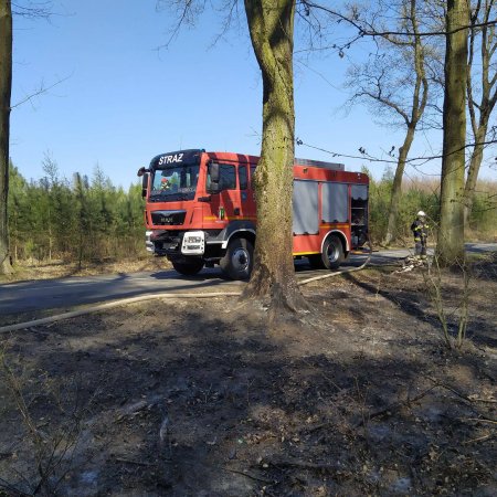 Pożar lasu - 21 kwietnia 2020
