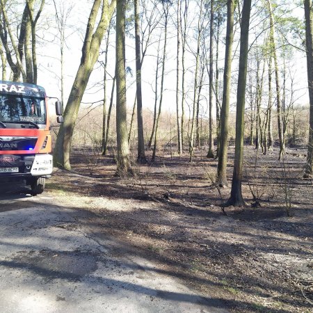 Pożar lasu - 21 kwietnia 2020
