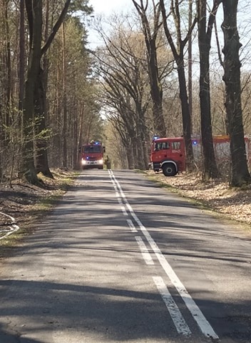 Pożar lasu - 21 kwietnia 2020
