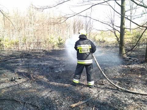 Pożar lasu - 21 kwietnia 2020
