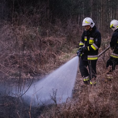 Pożar lasu w Palowicach