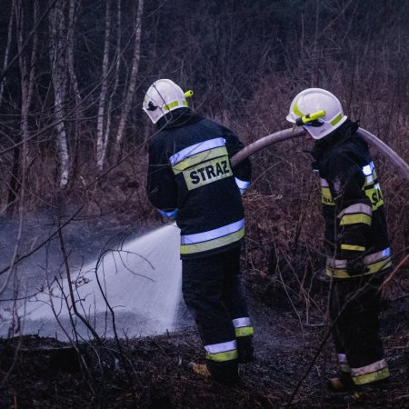Pożar lasu w Palowicach