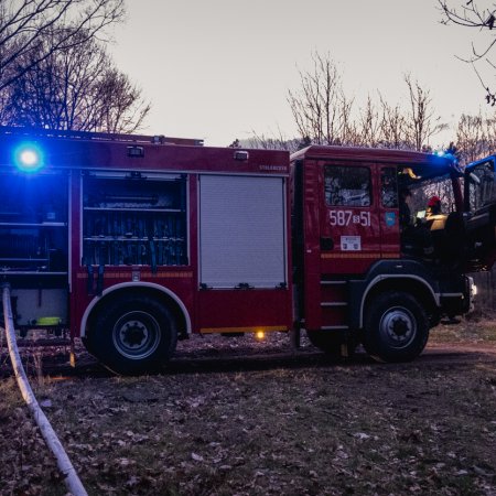 Pożar lasu w Palowicach