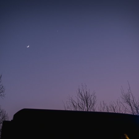 Pożar lasu w Palowicach