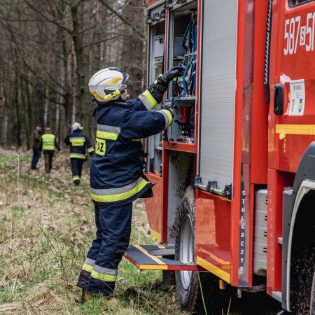 Pożar lasu w Palowicach - 5 kwietnia 2021
