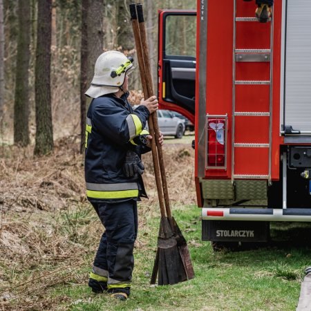 Pożar lasu w Palowicach