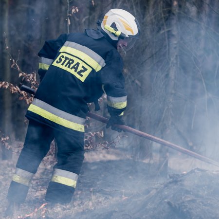 Pożar lasu w Palowicach