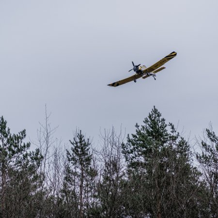 Pożar lasu w Palowicach