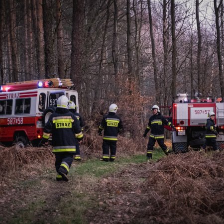 Pożar lasu w Szczejkowicach - 2 kwietnia 2020
