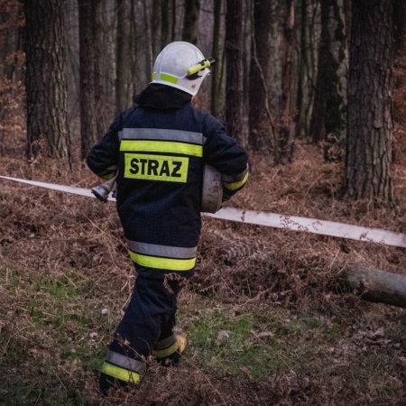 Pożar lasu w Szczejkowicach - 2 kwietnia 2020
