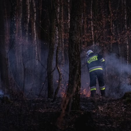 Pożar lasu w Szczejkowicach - 2 kwietnia 2020
