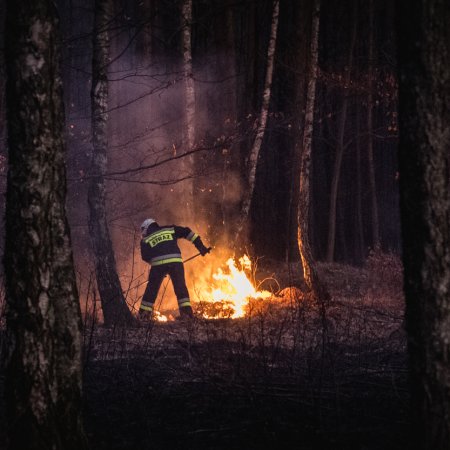 Pożar lasu w Szczejkowicach - 2 kwietnia 2020
