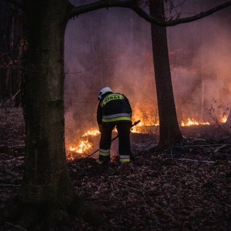 Pożar lasu w Szczejkowicach - 2 kwietnia 2020
