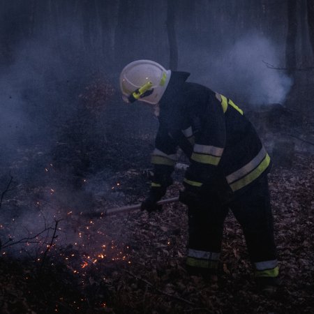 Pożar lasu w Szczejkowicach - 2 kwietnia 2020
