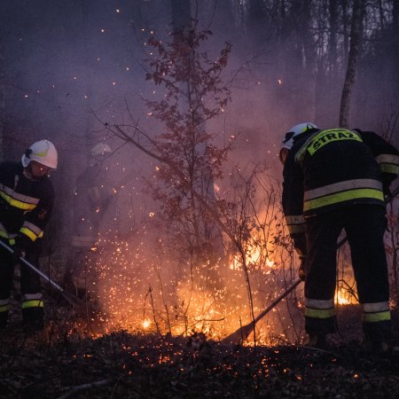 Pożar lasu w Szczejkowicach - 2 kwietnia 2020
