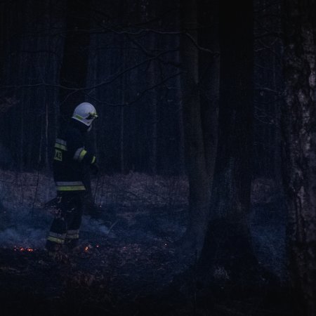 Pożar lasu w Szczejkowicach - 2 kwietnia 2020
